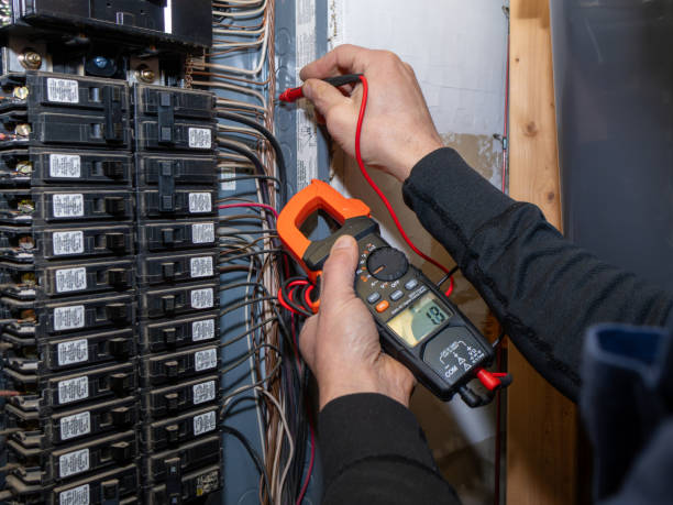 Best Electric Panel Repair  in Kissimmee, FL